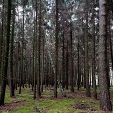 http://www.jennadallwitz.de/files/gimgs/th-39__JDF1790.jpg