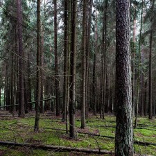 http://www.jennadallwitz.de/files/gimgs/th-39__JDF1804.jpg